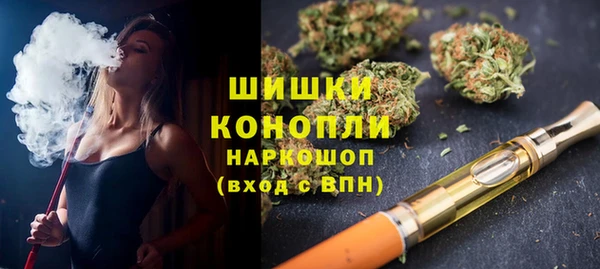 шишки Осинники
